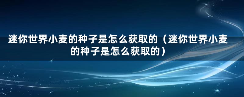迷你世界小麦的种子是怎么获取的（迷你世界小麦的种子是怎么获取的）