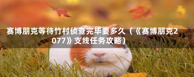 赛博朋克等待竹村侦查完毕要多久（《赛博朋克2077》支线任务攻略）
