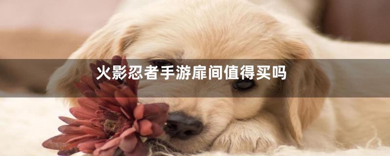 火影忍者手游扉间值得买吗
