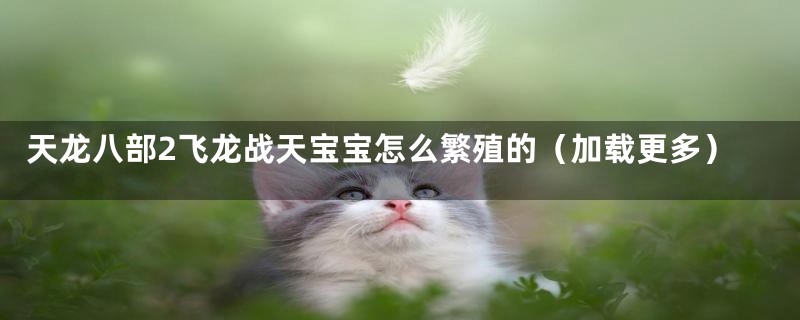 天龙八部2飞龙战天宝宝怎么繁殖的（加载更多）