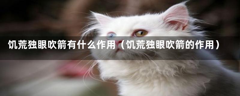 饥荒独眼吹箭有什么作用(饥荒独眼吹箭的作用)