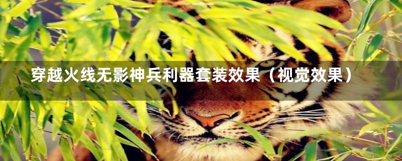 穿越火线无影神兵利器套装效果(视觉效果)