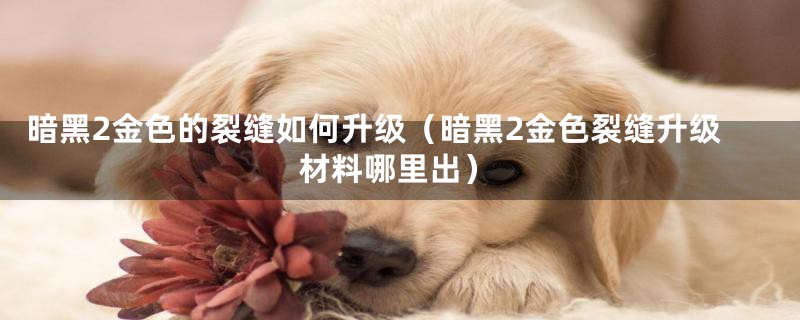 暗黑2金色的裂缝如何升级（暗黑2金色裂缝升级材料哪里出）