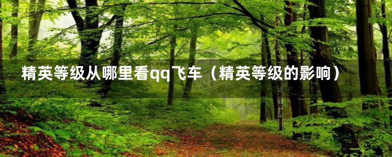 精英等级从哪里看qq飞车（精英等级的影响）