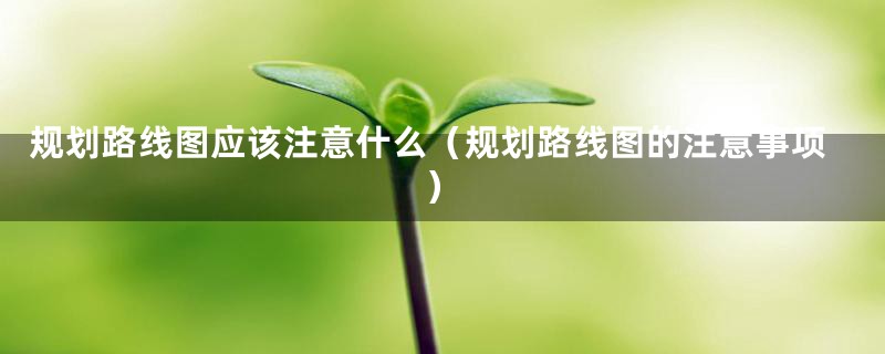 规划路线图应该注意什么（规划路线图的注意事项）