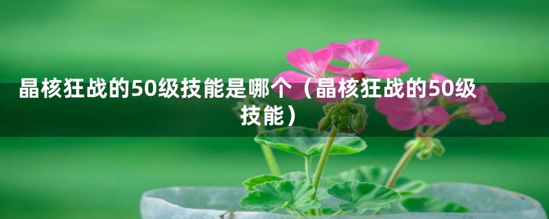 晶核狂战的50级技能是哪个(晶核狂战的50级技能)