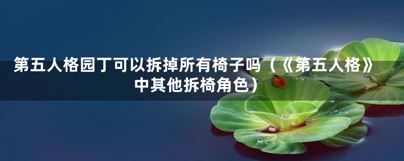 第五人格园丁可以拆掉所有椅子吗(《第五人格》中其他拆椅角色)