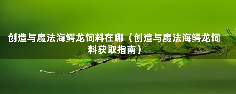 创造与魔法海鳄龙饲料在哪（创造与魔法海鳄龙饲料获取指南）