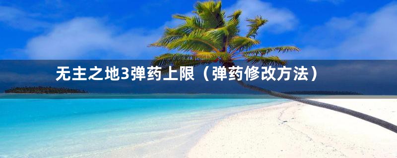 无主之地3弹药上限(弹药修改方法)