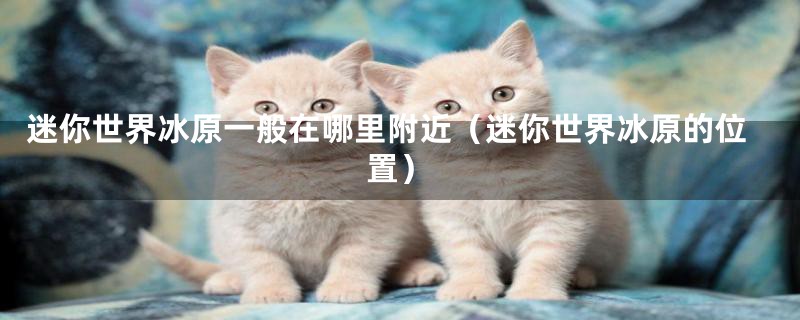 迷你世界冰原一般在哪里附近(迷你世界冰原的位置)
