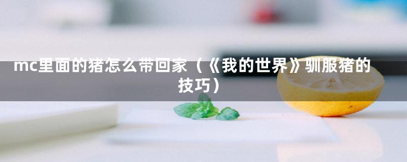 mc里面的猪怎么带回家（《我的世界》驯服猪的技巧）