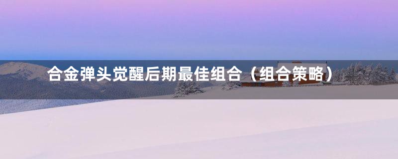 合金弹头觉醒后期最佳组合（组合策略）