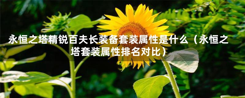 永恒之塔精锐百夫长装备套装属性是什么（永恒之塔套装属性排名对比）