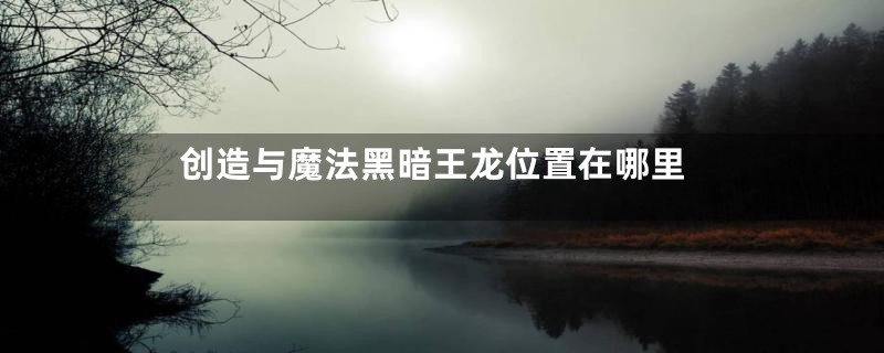 创造与魔法黑暗王龙位置在哪里