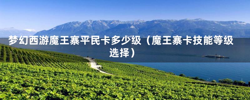 梦幻西游魔王寨平民卡多少级（魔王寨卡技能等级选择）