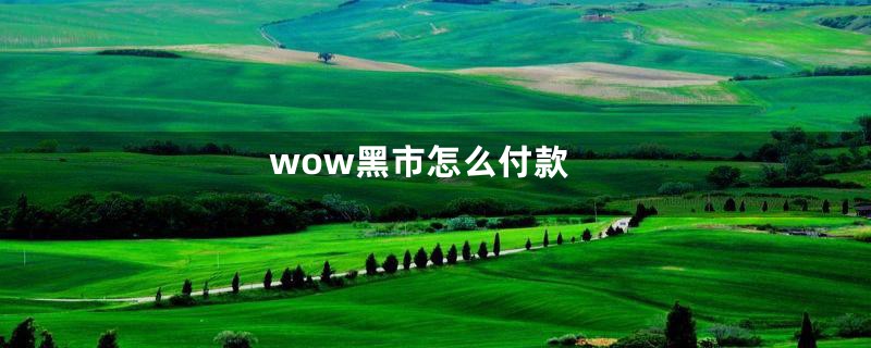 wow黑市怎么付款