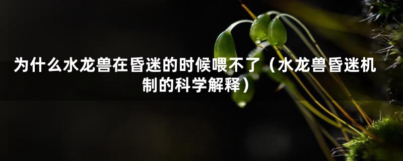 为什么水龙兽在昏迷的时候喂不了(水龙兽昏迷机制的科学解释)
