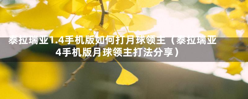 泰拉瑞亚1.4手机版如何打月球领主(泰拉瑞亚4手机版月球领主打法分享)