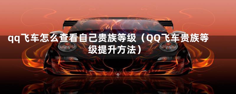 qq飞车怎么查看自己贵族等级（QQ飞车贵族等级提升方法）