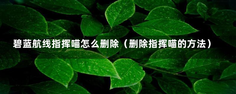 碧蓝航线指挥喵怎么删除(删除指挥喵的方法)