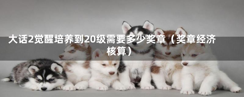 大话2觉醒培养到20级需要多少奖章(奖章经济核算)