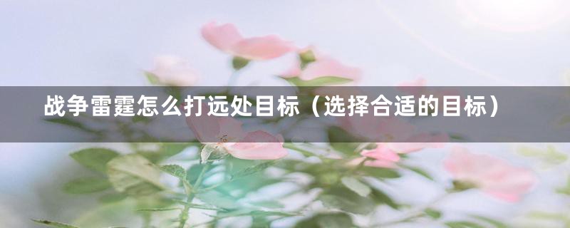 战争雷霆怎么打远处目标(选择合适的目标)