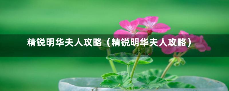 精锐明华夫人攻略(精锐明华夫人攻略)