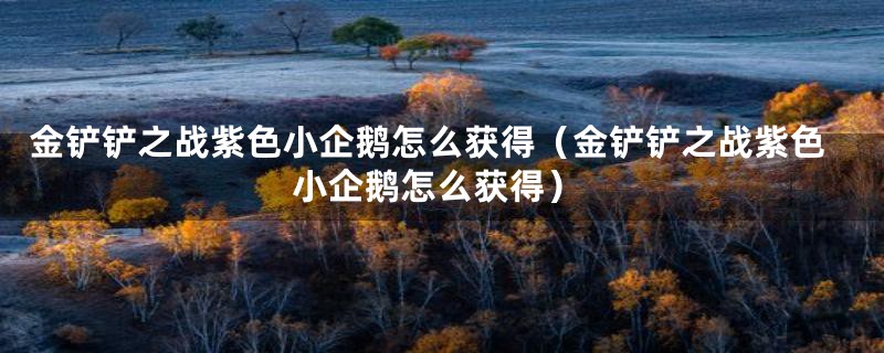 金铲铲之战紫色小企鹅怎么获得(金铲铲之战紫色小企鹅怎么获得)