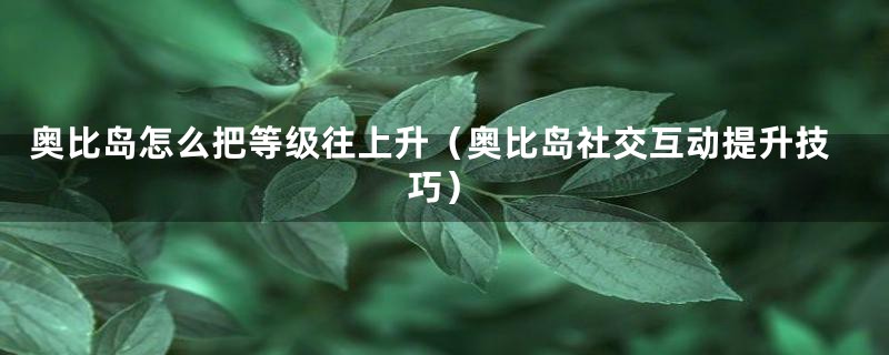 奥比岛怎么把等级往上升（奥比岛社交互动提升技巧）
