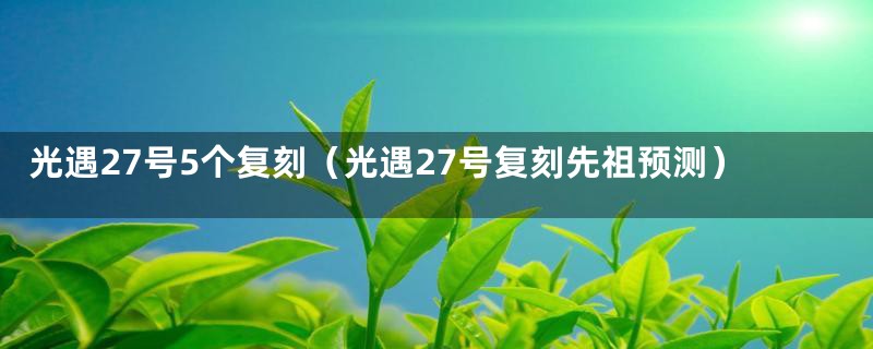 光遇27号5个复刻(光遇27号复刻先祖预测)