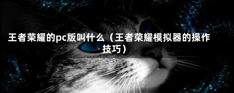 王者荣耀的pc版叫什么（王者荣耀模拟器的操作技巧）