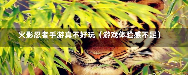 火影忍者手游真不好玩（游戏体验感不足）