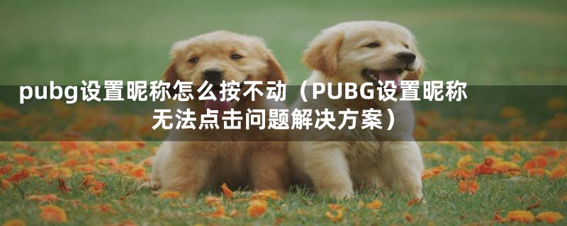 pubg设置昵称怎么按不动(PUBG设置昵称无法点击问题解决方案)