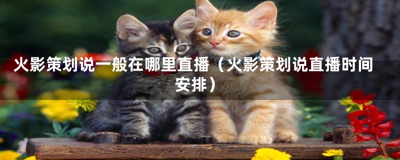 火影策划说一般在哪里直播(火影策划说直播时间安排)
