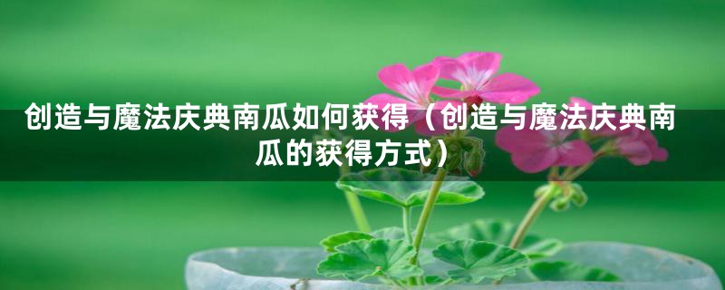 创造与魔法庆典南瓜如何获得(创造与魔法庆典南瓜的获得方式)