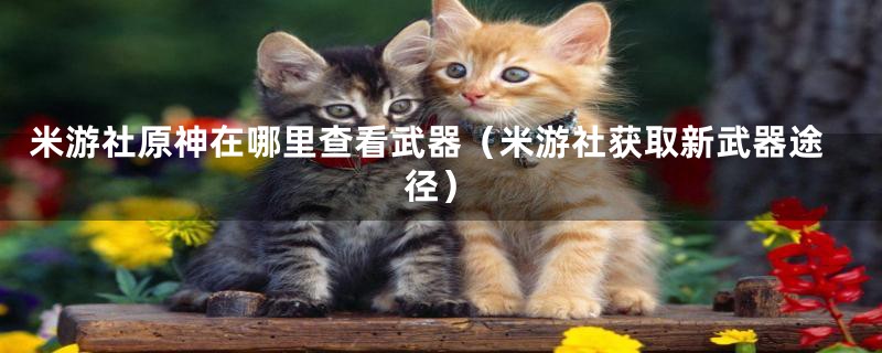 米游社原神在哪里查看武器（米游社获取新武器途径）