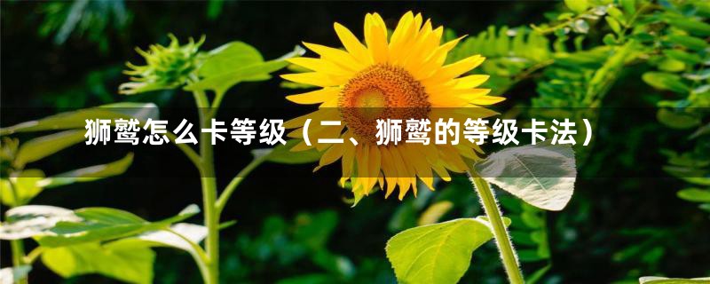 狮鹫怎么卡等级(二、狮鹫的等级卡法)