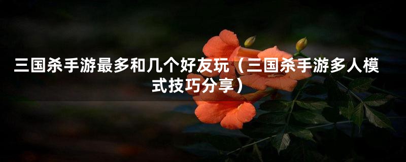 三国杀手游最多和几个好友玩(三国杀手游多人模式技巧分享)