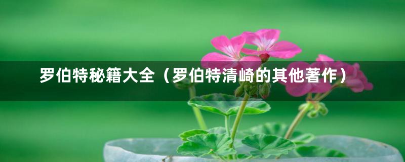 罗伯特秘籍大全(罗伯特清崎的其他著作)