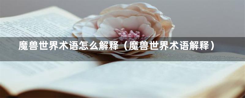 魔兽世界术语怎么解释(魔兽世界术语解释)