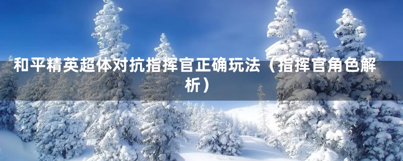 和平精英超体对抗指挥官正确玩法(指挥官角色解析)