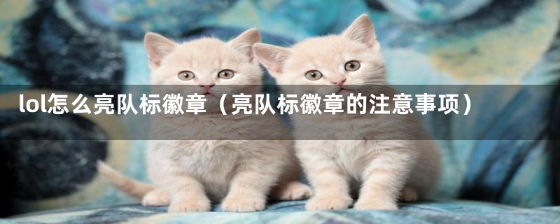 lol怎么亮队标徽章(亮队标徽章的注意事项)