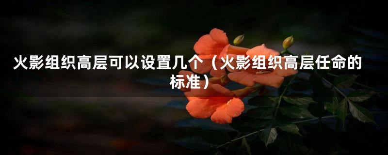 火影组织高层可以设置几个(火影组织高层任命的标准)