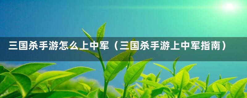 三国杀手游怎么上中军(三国杀手游上中军指南)