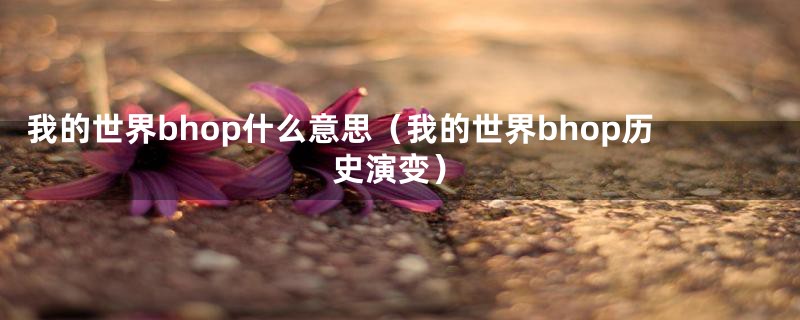 我的世界bhop什么意思(我的世界bhop历史演变)