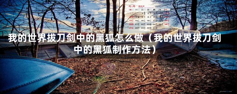 我的世界拔刀剑中的黑狐怎么做（我的世界拔刀剑中的黑狐制作方法）