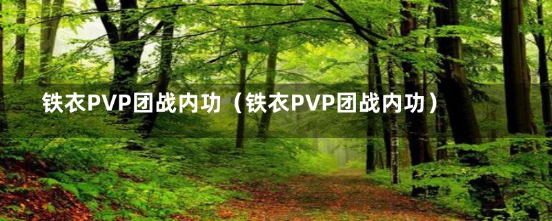 铁衣PVP团战内功(铁衣PVP团战内功)