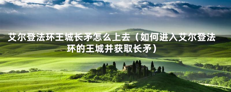 艾尔登法环王城长矛怎么上去（如何进入艾尔登法环的王城并获取长矛）