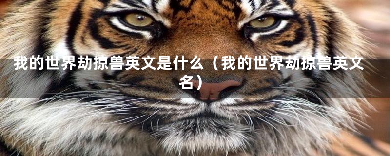我的世界劫掠兽英文是什么（我的世界劫掠兽英文名）