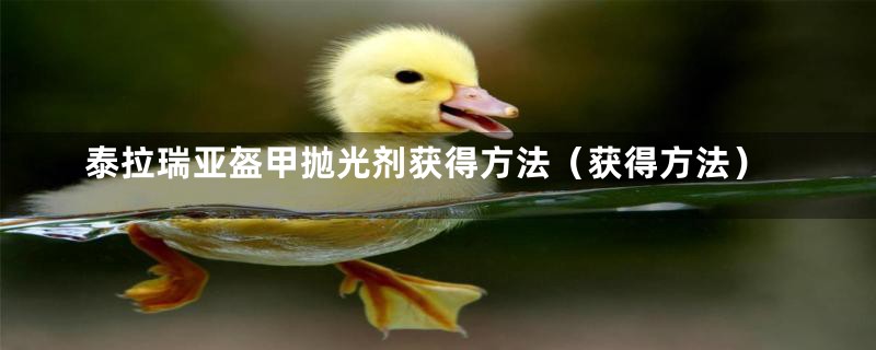 泰拉瑞亚盔甲抛光剂获得方法(获得方法)